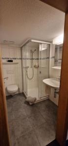 a bathroom with a shower and a toilet and a sink at Chalet Rosa B&B in Lauterbrunnen