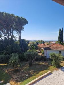 a view of a yard with trees and a house at Casa Lori in Fauglia