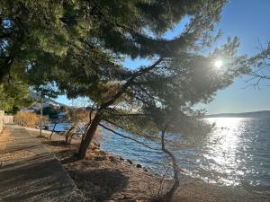 a view of a beach with trees and the water at Nadalina 10 in Starigrad
