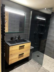 a bathroom with a sink and a shower at Gîte de Charme in Saint-Avit-de-Tardes +14 photos
