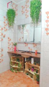 a room with a counter with plants on the wall at Varandas Av Paulista in São Paulo