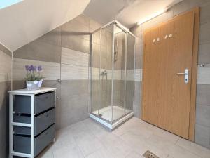 a shower with a glass door in a bathroom at Apartments in Green House in Bovec +31 photos