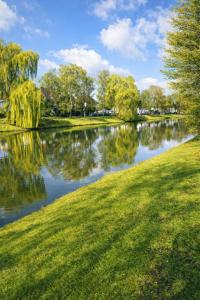 a body of water with trees in the background at Moderne Wohnung am Flussufer in Herford