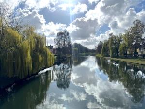 a river with the reflection of trees in the water at Moderne Wohnung am Flussufer in Herford