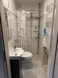 a bathroom with a toilet and a sink and a shower at Sunset BoB Fuldatal in Fulda