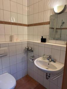 a bathroom with a sink and a mirror and a toilet at Apartment-Herrlingen in Blaustein
