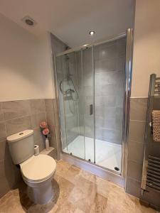 a bathroom with a toilet and a shower at Whistle Stop Terrace in Barnby Dun +12 photos