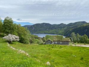 a house in a field with a lake and mountains at Konstali Gard in Flekkefjord