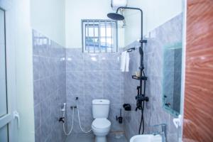 a small bathroom with a toilet and a shower at Uhondo Apartments in Dodoma