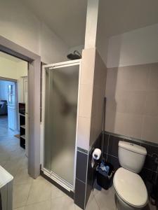 a bathroom with a toilet and a glass shower at Riquewihr in Riquewihr