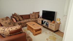 a living room with a couch and a flat screen tv at Villa Oaza Vilenjak in Visoko
