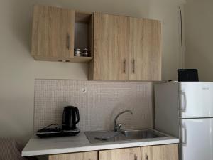 a kitchen with a sink and a white refrigerator at Vasiliki Little House in Kanoni