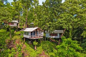 an aerial view of a house in the trees at Green Peak Resorts in Baitarāni