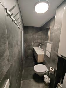 a bathroom with a toilet and a sink at Zimmervermietung-Nbg in Nuremberg