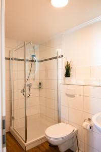 a bathroom with a shower with a toilet and a sink at Restaurant & Pension Skipper Zingst in Zingst