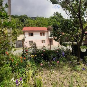 a garden with flowers in front of a house at CASA IZA in Băile Herculane