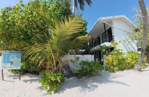 a palm tree in front of a building at Adroit Sunset View in Guraidhoo