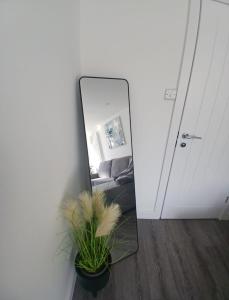 a mirror in a room with a couch and a plant at Moodyscroft Homestay, NEC, BHX, Resorts world, HS2, JLR - Netflix in Birmingham