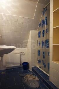 a bathroom with a sink and a shower curtain at Chalupa Horní Morava in Dolní Morava