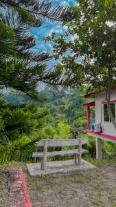 a wooden bench sitting in the middle of a forest at Mountain Springs Resort in Bāndarban