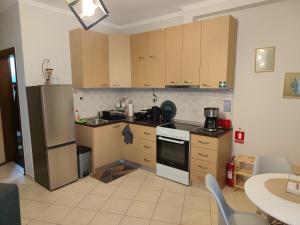 a kitchen with a refrigerator and a stove top oven at ELIA Guesthouse in Komotini