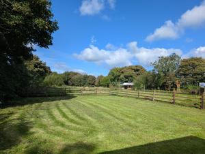 a large field with a fence and a barn at Woodville Barn in Ród +16 photos