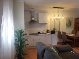 a living room with a couch and a kitchen at Large and cozy studio in Piera