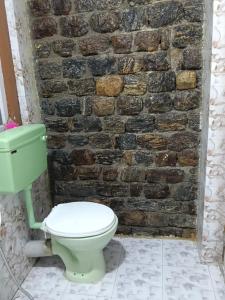a bathroom with a green toilet and a brick wall at Sai Palace in Darjeeling +17 photos