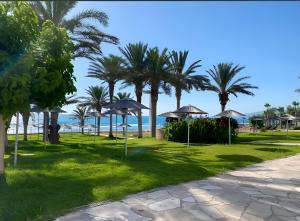 a park with palm trees and umbrellas on the beach at Traumhaftes Studio mit Meerblick & Pool in Khlorakas