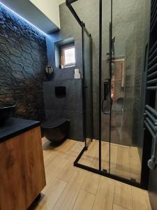 a bathroom with a shower with a glass door at Miejscówka Werlas in Werlas +58 photos