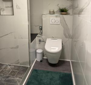 a bathroom with a toilet and a glass shower at Studio apartment in Karben +1 photo