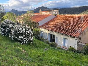 a group of houses on a hill with flowers at Le Carmagnol in Caramany