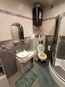 a bathroom with a sink and a toilet and a shower at Apartament 16 in Sandomierz