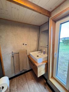 a bathroom with a white sink and a window at Tiny Haus Seeadler in Schwasdorf
