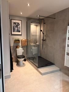 a bathroom with a shower and a toilet at Chez Flo in Avignon +60 photos