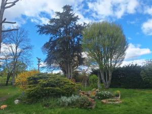 a garden with two trees and some bushes at chambre d'hôte in Saint-Rémy-en-Rollat