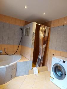 a bathroom with a washing machine and a tub at Apartmány Arin in Jáchymov