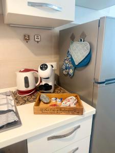 a kitchen with a refrigerator and a box on a counter at Monolocale elegante e luminoso nel Centro Storico- A due passi da tutto in Pordenone