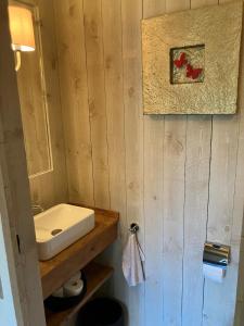 a bathroom with a white sink and a wooden wall at Rust en natuur in de Vlaamse Ardennen in Kluisbergen +13 photos