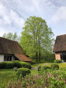 a house with a tree in the middle of a yard at Rust en natuur in de Vlaamse Ardennen in Kluisbergen