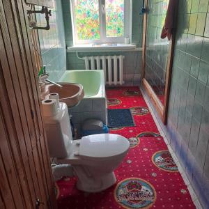 a bathroom with a toilet and a sink at Калина in Deneshi +40 photos