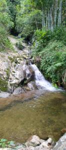 a stream of water with rocks and trees at Chalé da Helô in Nova Friburgo +3 photos
