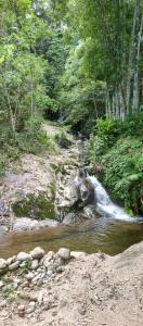 a stream of water in the middle of a forest at Chalé da Helô in Nova Friburgo