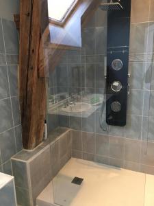 a bathroom with a shower and a sink at Chateau de Plombières Maison Gauthier Dijon in Plombières-lès-Dijon +12 photos