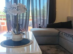 a living room with a couch and a table with a flower at LES BULLES DE MONA - Marina Corse - 2 ch - Clim - Terrasse-pieds dans leau-plage in Ghisonaccia