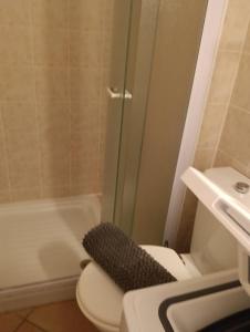 a bathroom with a toilet with a glass shower at LES BULLES DE MONA - Marina Corse - 2 ch - Clim - Terrasse-pieds dans leau-plage in Ghisonaccia +7 photos