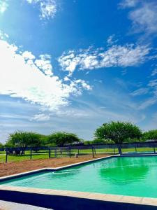 a swimming pool with green water in a park at Stush In the Bush in Stegi