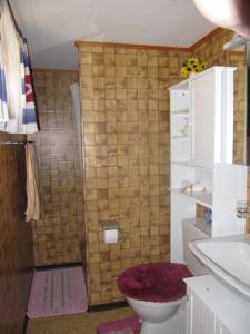 a bathroom with a toilet and a sink and a shower at Casa Schuoler in Disentis