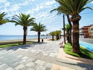 a row of palm trees on a sidewalk next to the beach at San Pedro Centro - 9110 in San Pedro del Pinatar