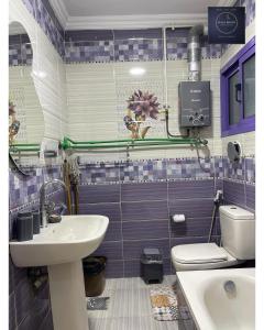 a bathroom with a white sink and a toilet at Half Moon Apartaments in Alexandria